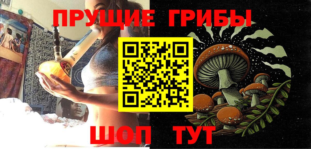Баксан  Галлюциногенные грибы Cubensis  Вход с VPN 